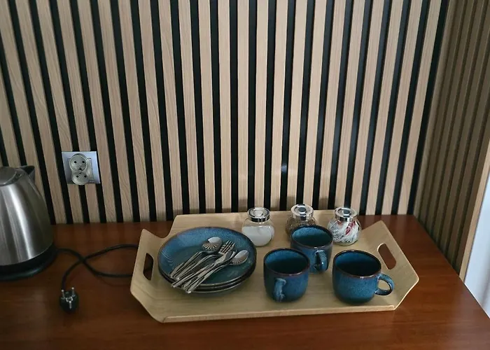 Homestay Noclegi Darex Pyrzowice